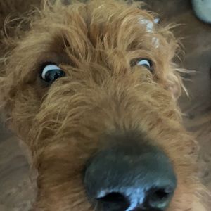 Meet your Posher, Mm